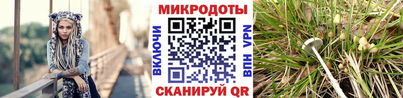 Галлюциногенные грибы GOLDEN TEACHER Азнакаево