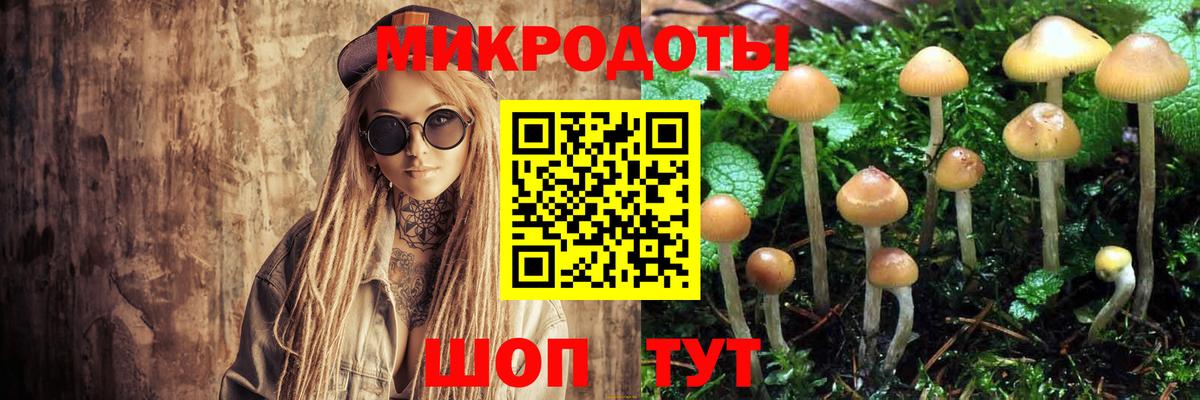 Галлюциногенные грибы мицелий Азнакаево