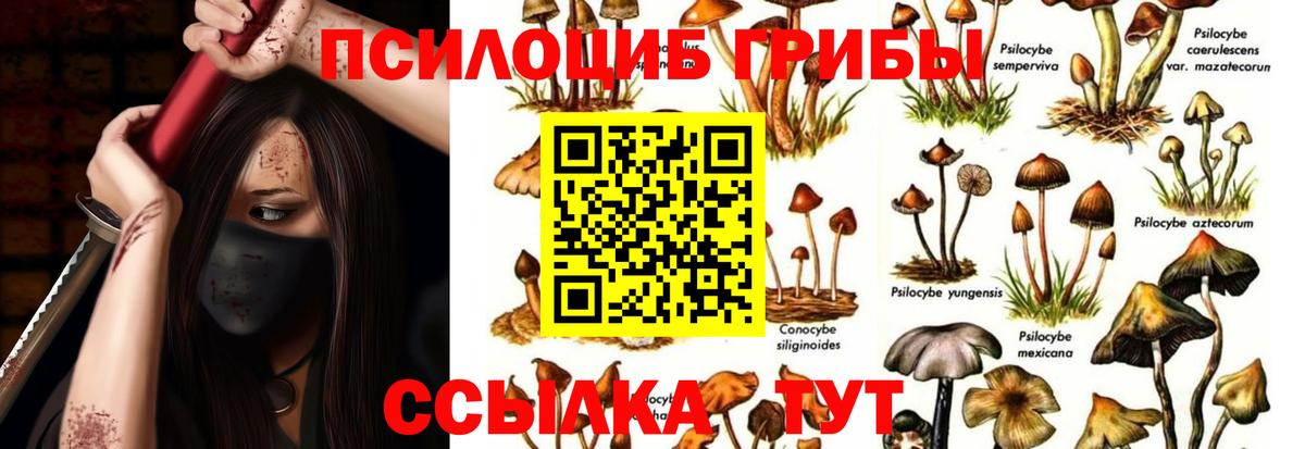 Галлюциногенные грибы мухоморы  Галлюциногенные грибы Psilocybine cubensis  Вход с VPN  Азнакаево 